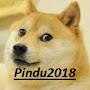 @Pindu2018