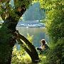 @prowalktours1406