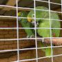 @Animallover-zj6hr