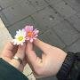 @MadinaEshniyozova-fo8bh