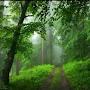 @shashi3508