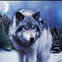 @syberwolf510