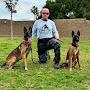 @malinoisdogtraining3441