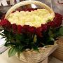 @istodaalimova3367