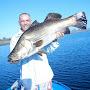 @wardysfishing9403