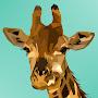 @TinyGiraffes