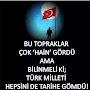 @yaseminalpagut8890