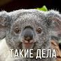 @Артур739