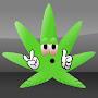 @assassinweed5390