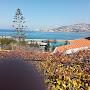@ibrahimnakhoul7345