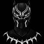 @blackpanther1773