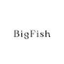 @BigFish-o7y