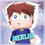 @nerlin6464