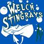 @welchstingrays337