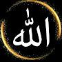 @ulvutuncayrustemli6731