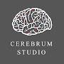 @cerebrumstudio7050