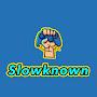 @slowknown6376