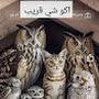@امجي-ح4ك