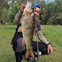 @f.i.n.efishing