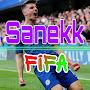 @sanekkfifa1851