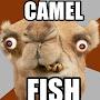 @camelfishstyle