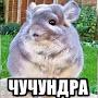 @Semechka-80
