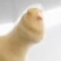 @poopydoopy2000