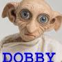 @69Dobby