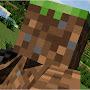 @BlockofGrass