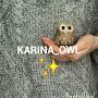 @karina_owl2082