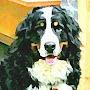 @leonardotherapydog7677