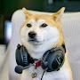 @dogewow8999