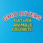 @GHIODIVERS