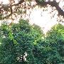 @royaloscardicaprio4073