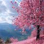 @ekagelashvili5274