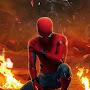 @adrianspider5765