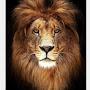 @PawanSingh0.22