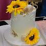 @asmakhan73829