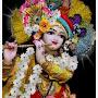 @mahendraprajapati6995
