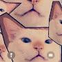 @Meowmerskat