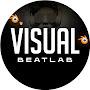 @VisualBeatLab