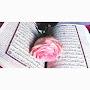 @اممحمود-ذ8س1ح