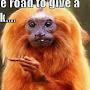 @fredconnolly6942