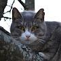 @Котнадереве-щ7ю