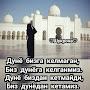 @safiyamuslimka971