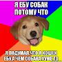 @абобус-п6й