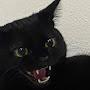 @NightSky-Cat