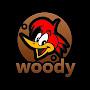 @woodywuplaygame7973