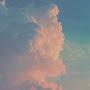 @VENOM-wx1ft
