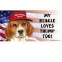 @beagletrump7566